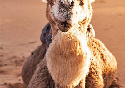 marrocos19-400x284